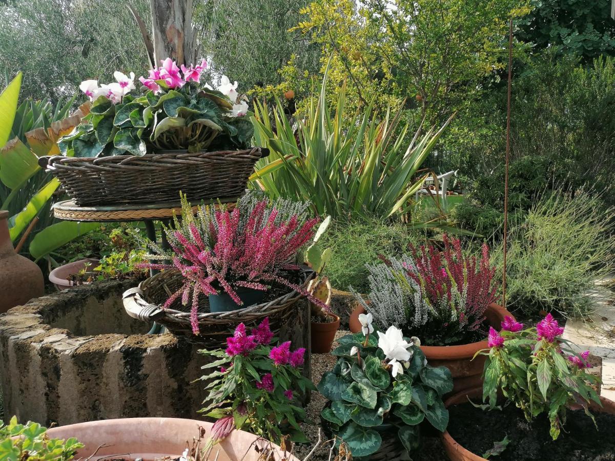 Hotel Il Giardino Del Te Barletta Exteriér fotografie
