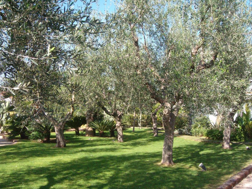 Hotel Il Giardino Del Te Barletta Exteriér fotografie
