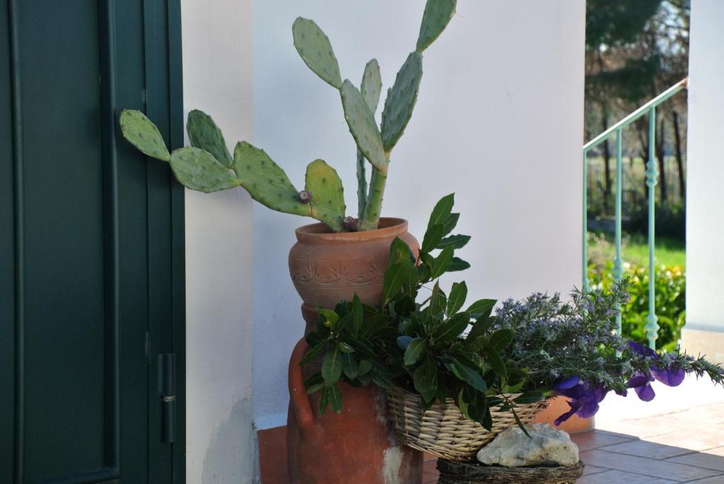 Hotel Il Giardino Del Te Barletta Pokoj fotografie