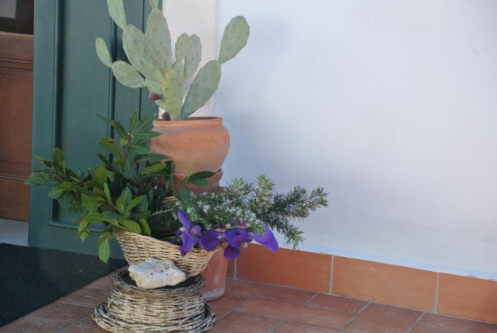 Hotel Il Giardino Del Te Barletta Exteriér fotografie